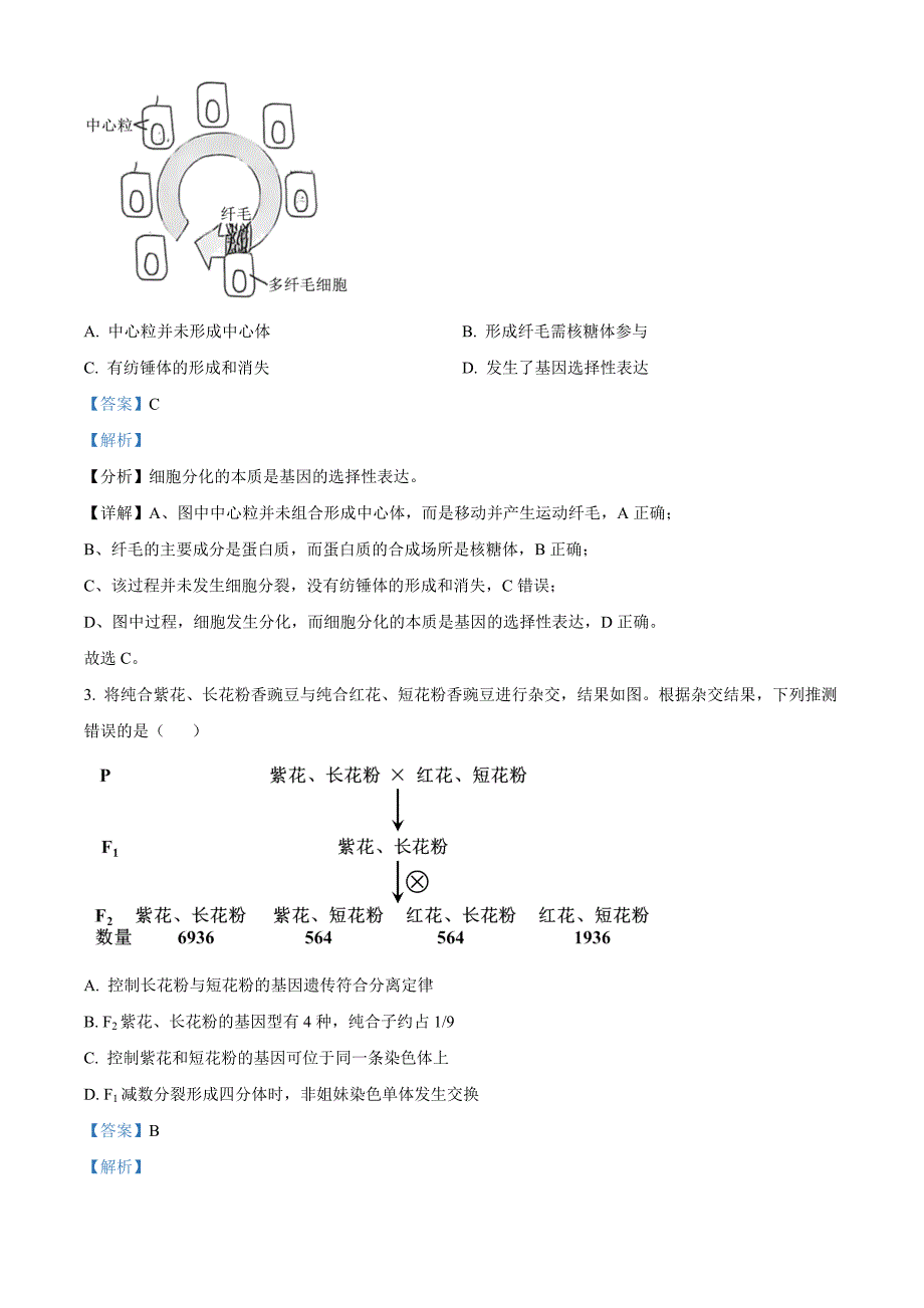 北京市海淀区2024-2025学年高三上学期11月期中考试生物试题 含解析_第2页