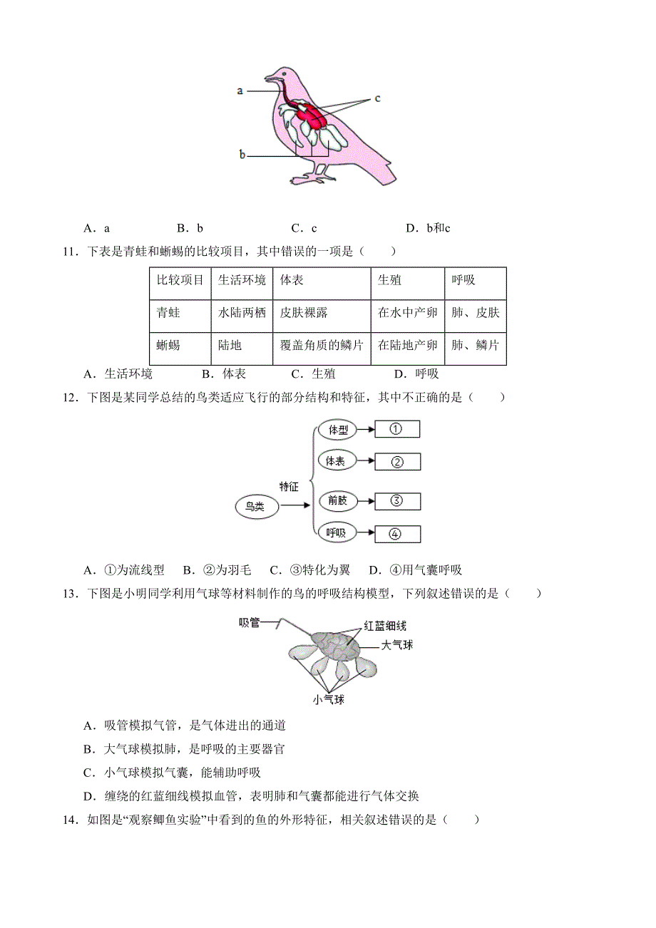 【人教】八上生物：第一次月考A卷（考试版+解析）_第3页