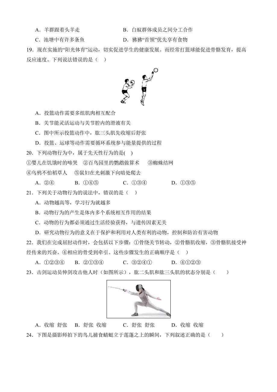 【人教】八上生物：第一次月考A卷（考试版+解析）_第5页