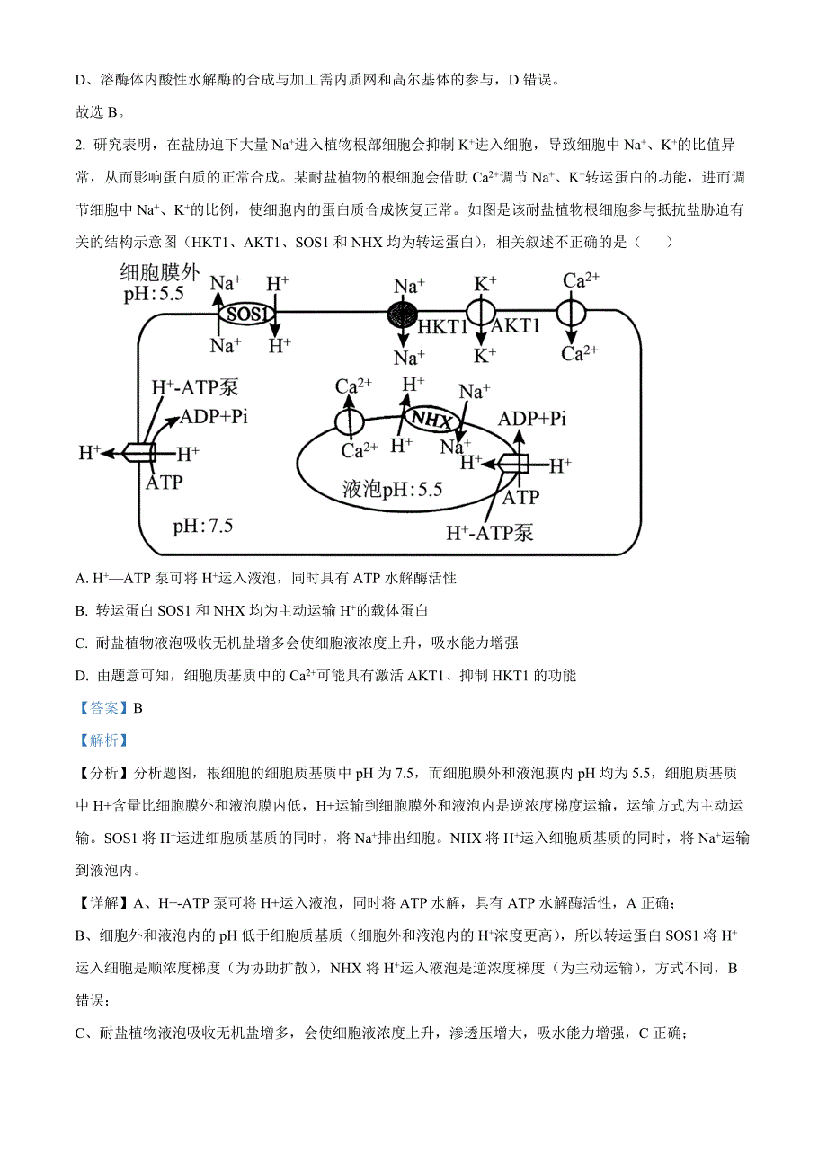 山东省枣庄市滕州市2025届高三上学期11月定时训练（期中）考试生物试题 含解析_第2页