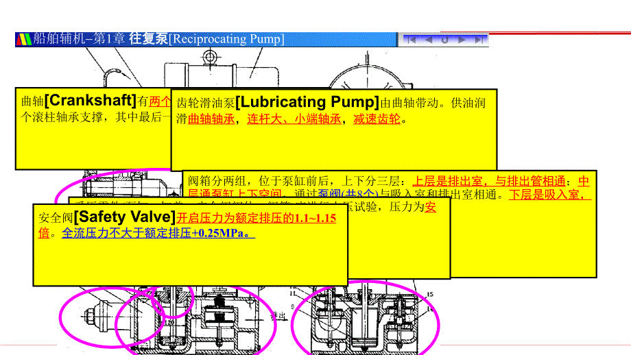 船舶辅机操作与维护教学培训：往复泵的实例和管理_第3页