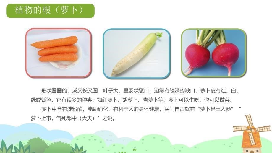 幼儿园教学课件健康教育《我爱吃蔬菜》_第5页