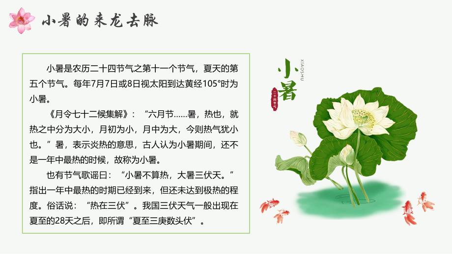 传统二十四节气《小暑》课件模板两套_第4页