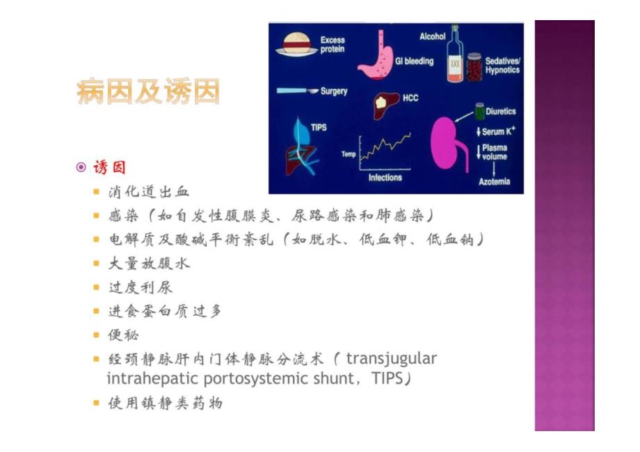 肝性脑病的诊疗_第4页