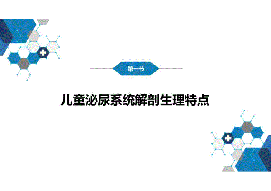 儿科学：第十二章 泌尿系统疾病 第一节-第六节_第4页