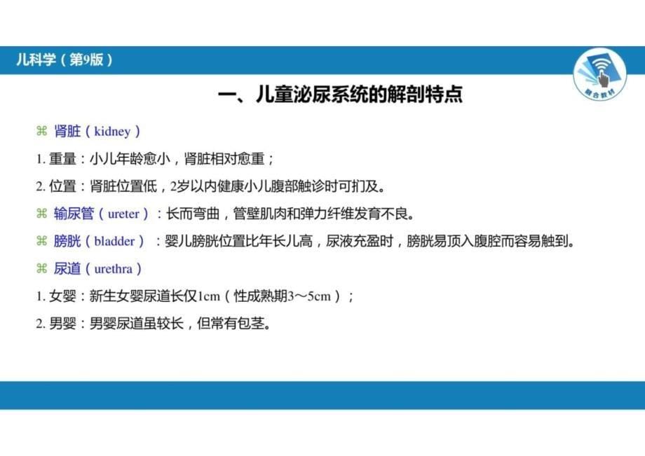 儿科学：第十二章 泌尿系统疾病 第一节-第六节_第5页