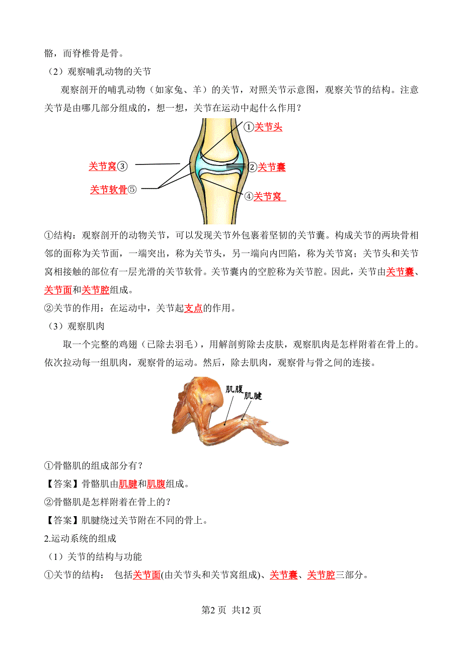 【人教】八上生物背诵-第五单元 第二、三章 动物的运动和行为、动物在生物圈中的作用（背诵版_第2页