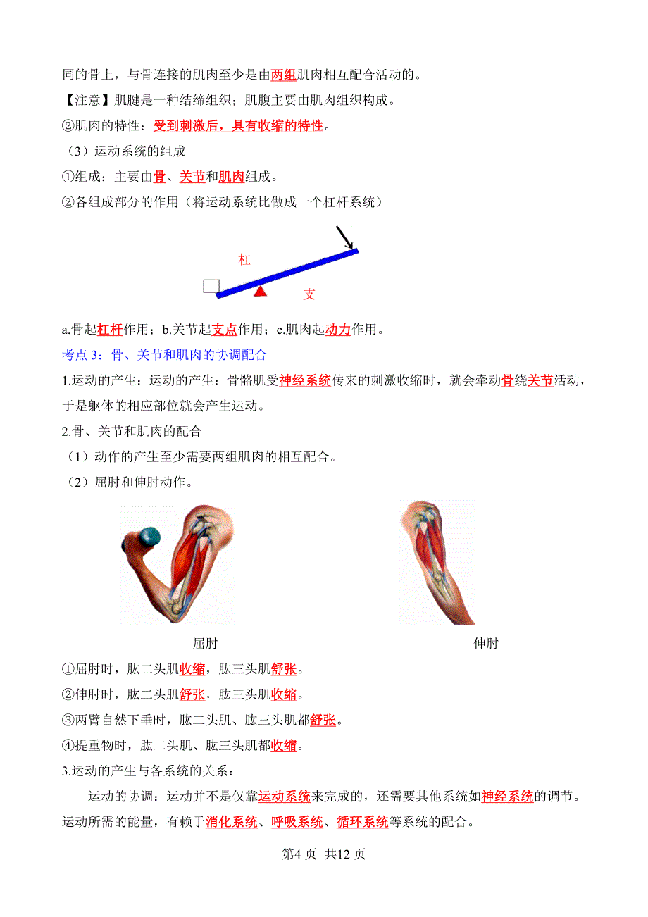 【人教】八上生物背诵-第五单元 第二、三章 动物的运动和行为、动物在生物圈中的作用（背诵版_第4页