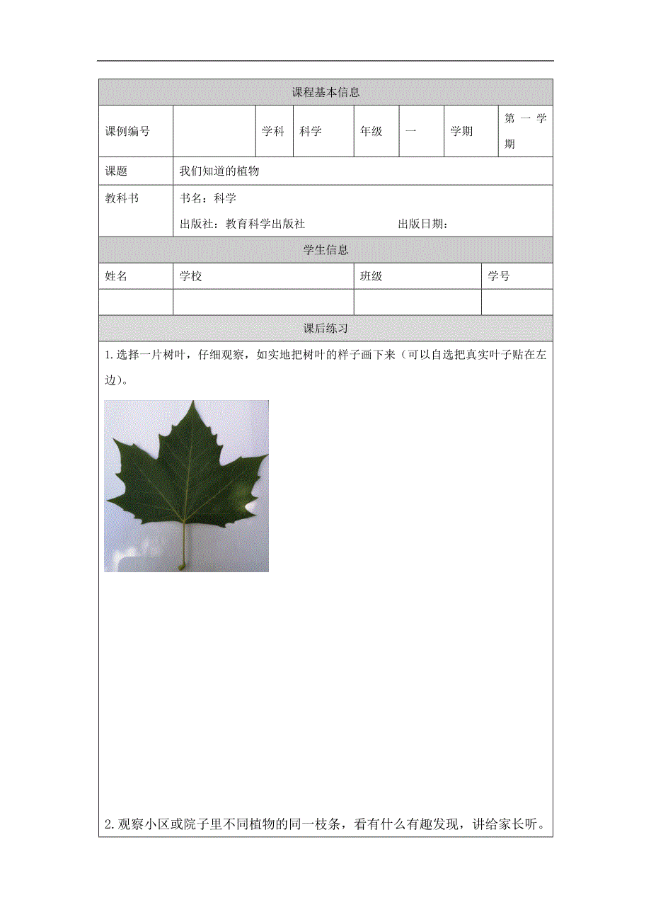 2024年上学期小学科学教案一年级【科学(教科版)】观察叶-4练习题_第1页