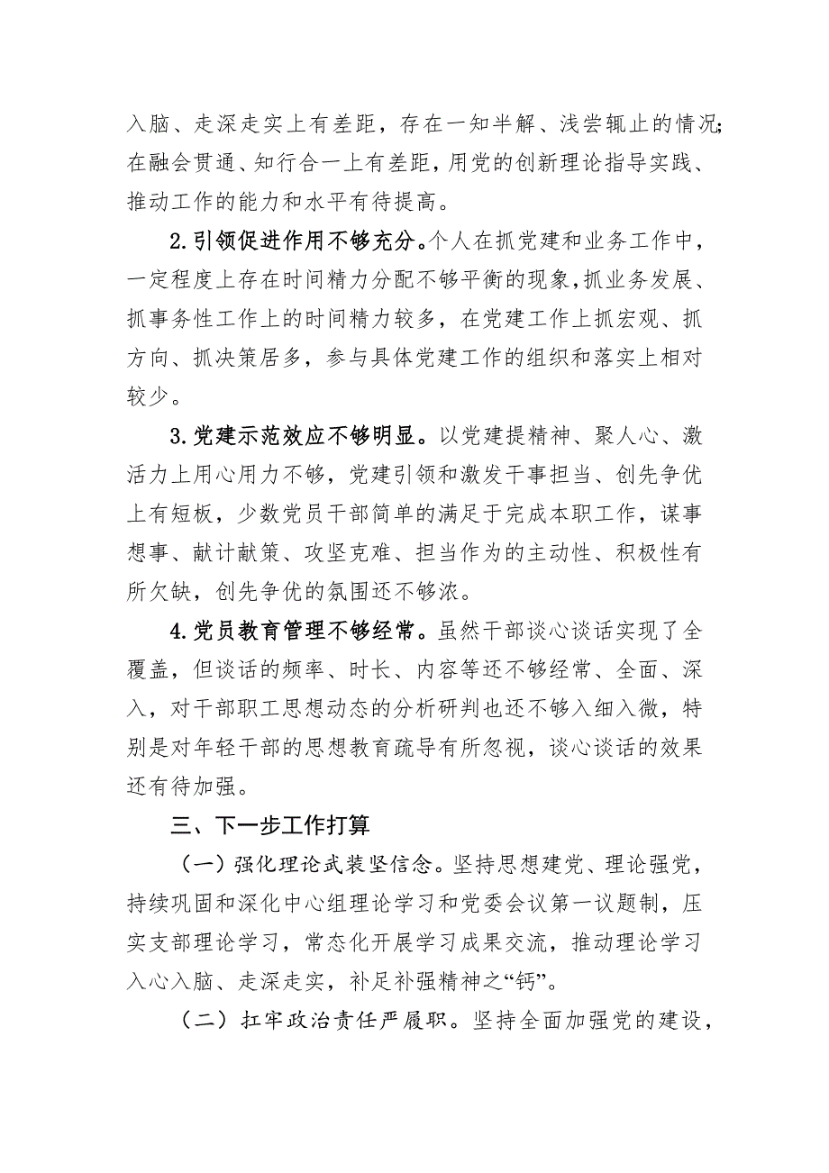 2024年度党组织书记履行党建工作责任述职报告_第3页