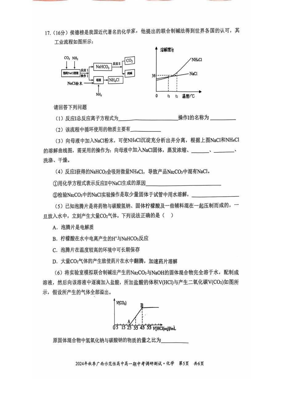 广西示范性高中2024年秋季期中高一化学试卷_第5页