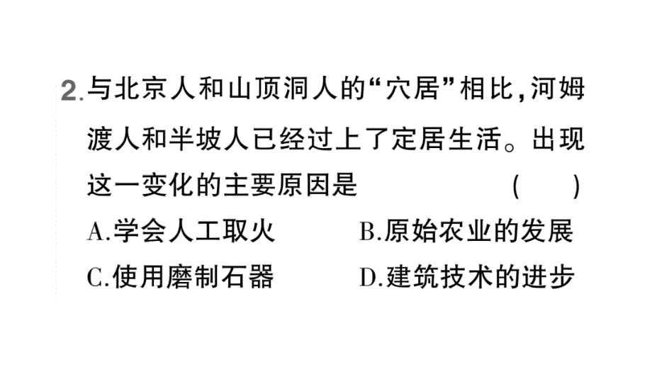 初中历史新人教版七年级上册第一单元第2课《原始农业与史前社会》作业课件（2024秋）_第4页