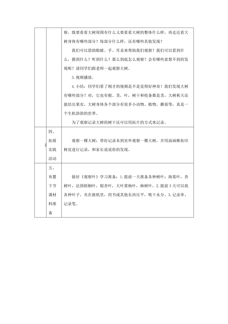 2024年上学期小学科学教案一年级【科学(教科版)】观察一棵植物-1教学设计_第3页