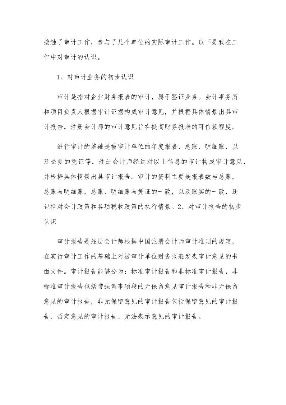 审计专业生实习报告（32篇）_第5页