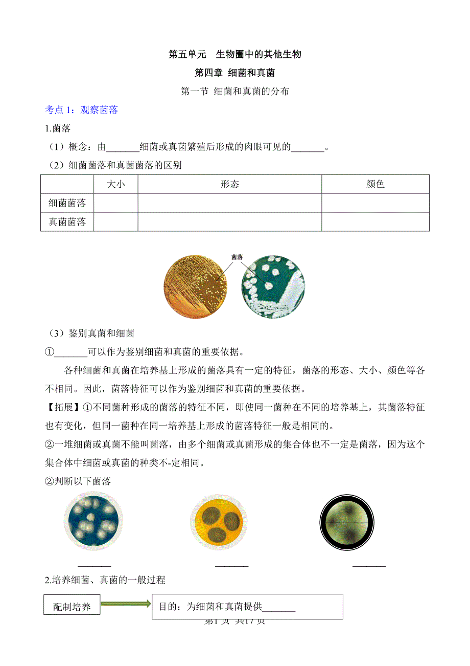 【人教】八上生物默写-第五单元 第四章 细菌和真菌_第1页