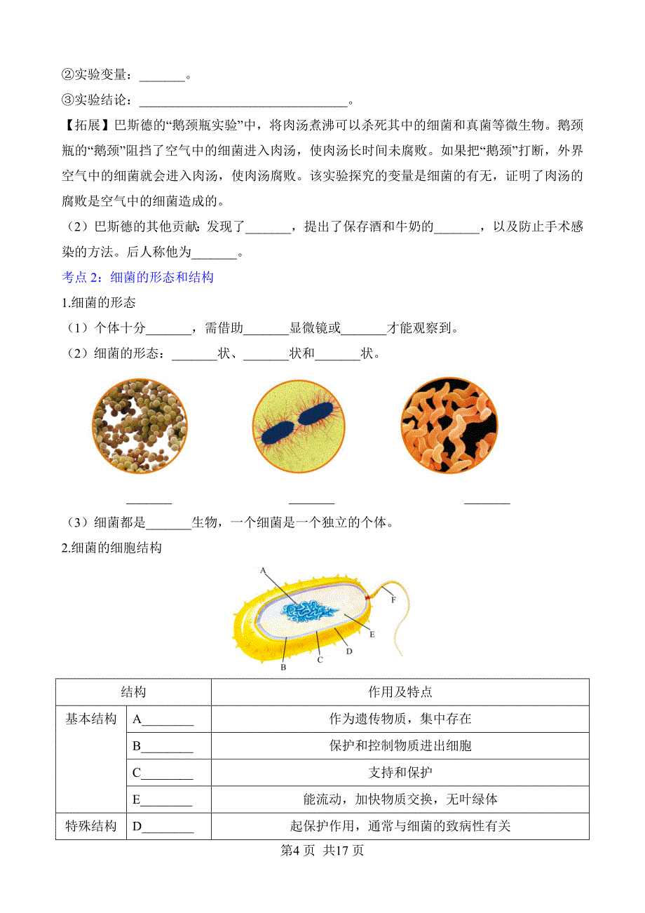 【人教】八上生物默写-第五单元 第四章 细菌和真菌_第4页