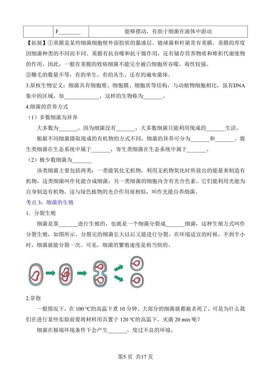 【人教】八上生物默写-第五单元 第四章 细菌和真菌_第5页