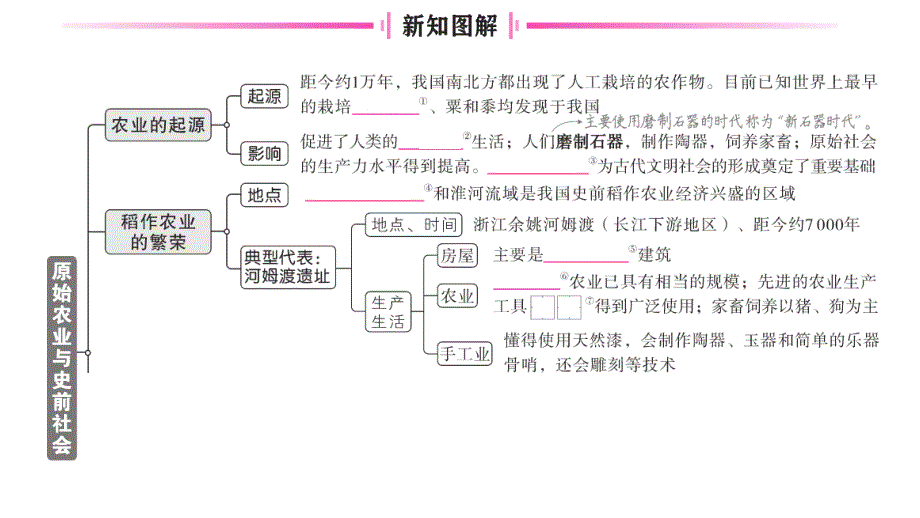 初中历史新人教版七年级上册第一单元第2课 原始农业与史前社会作业课件2024秋_第2页