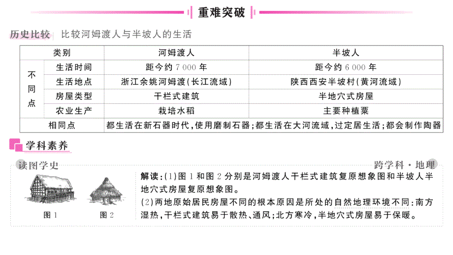 初中历史新人教版七年级上册第一单元第2课 原始农业与史前社会作业课件2024秋_第4页