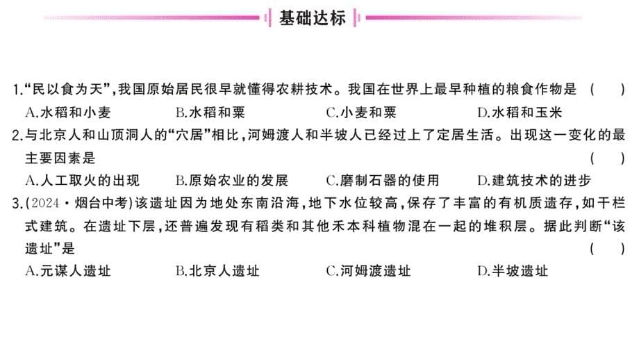 初中历史新人教版七年级上册第一单元第2课 原始农业与史前社会作业课件2024秋_第5页