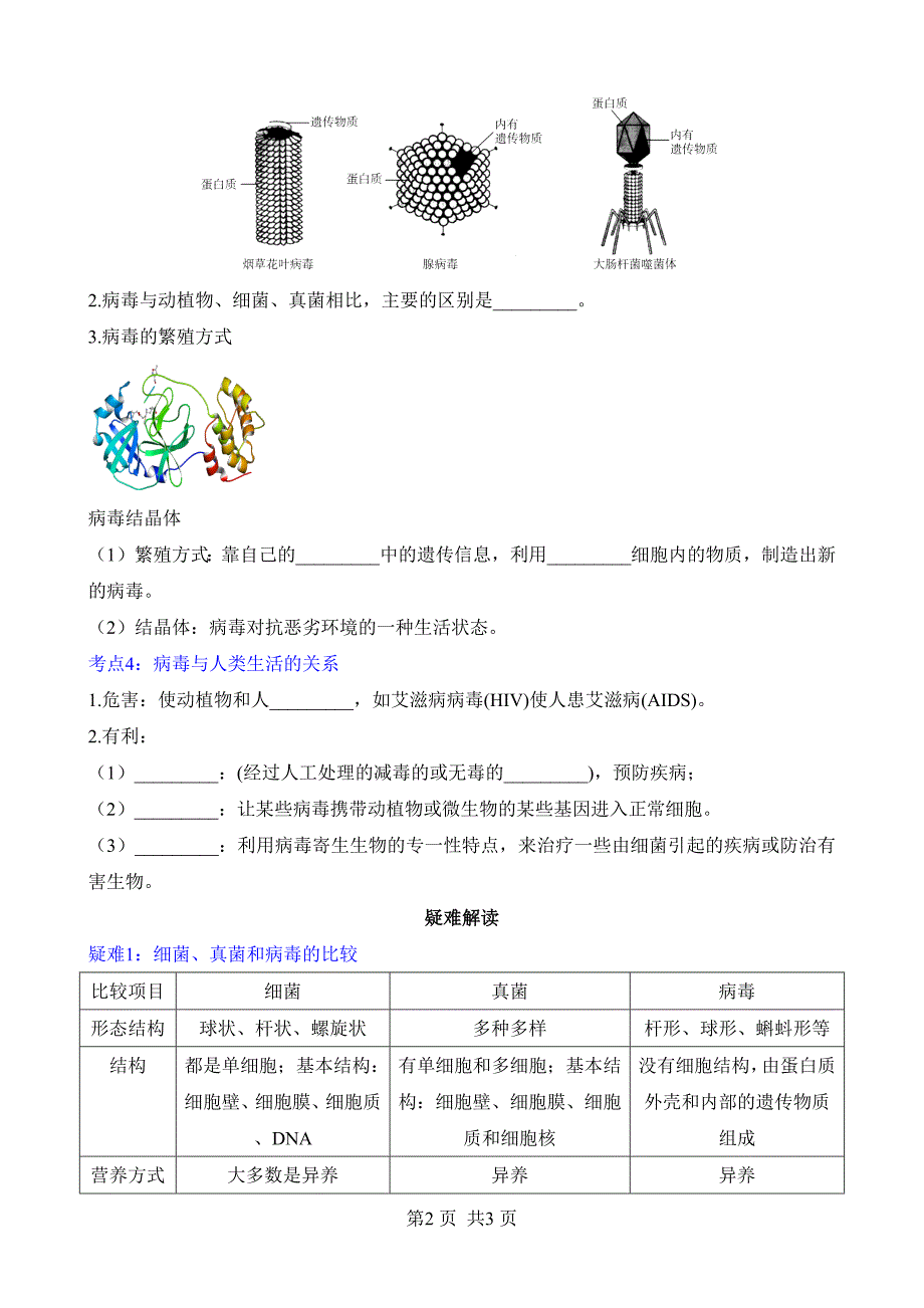 【人教】八上生物默写-第五单元 第五章 病毒_第2页