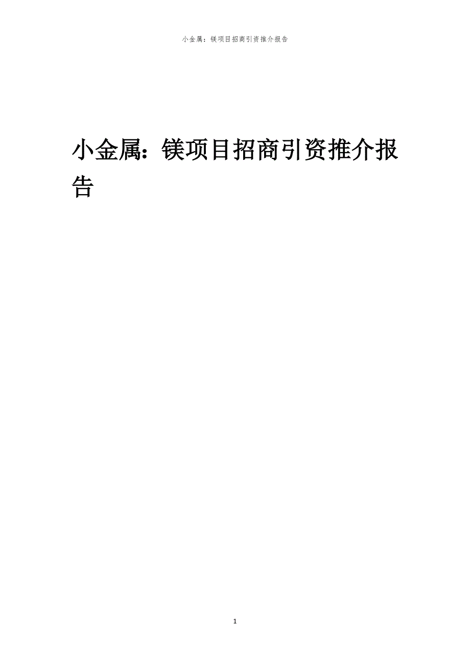 2023年小金属：镁项目招商引资推介报告_第1页