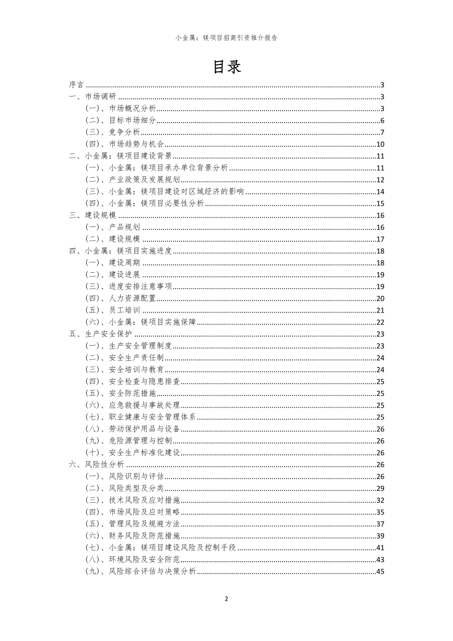 2023年小金属：镁项目招商引资推介报告_第2页