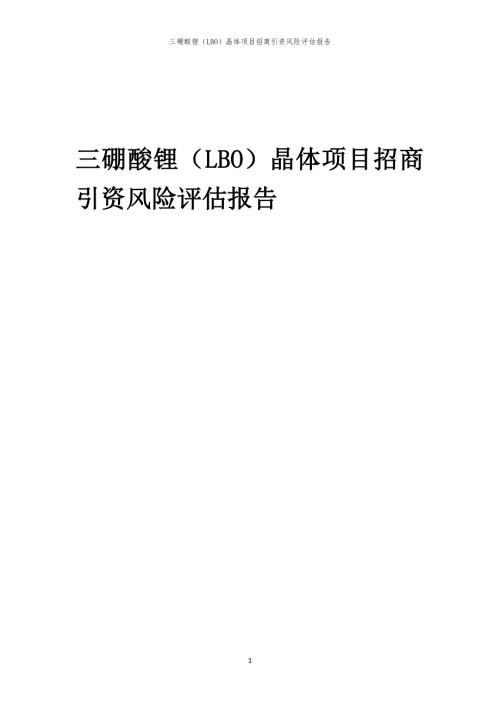 2023年三硼酸锂（LBO）晶体项目招商引资风险评估报告