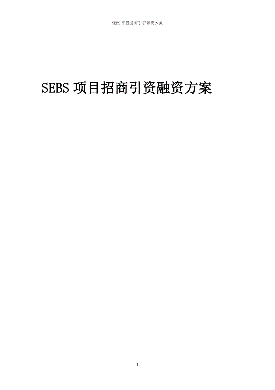 2023年SEBS项目招商引资融资方案_第1页