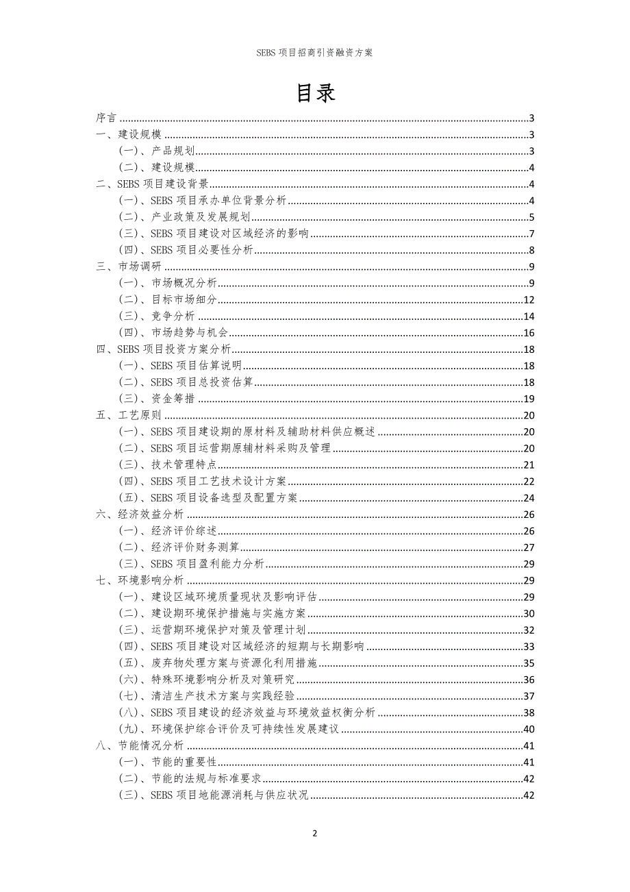 2023年SEBS项目招商引资融资方案_第2页