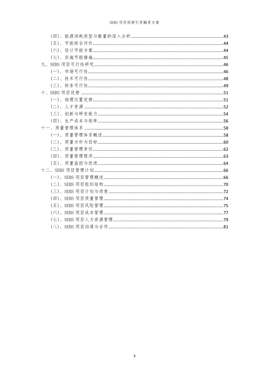 2023年SEBS项目招商引资融资方案_第3页