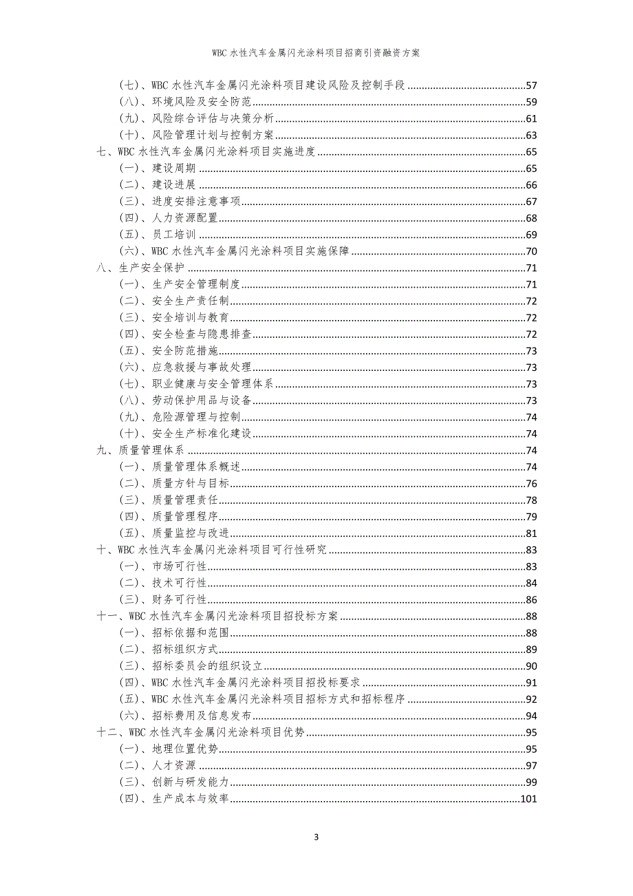 2023年WBC水性汽车金属闪光涂料项目招商引资融资方案_第3页