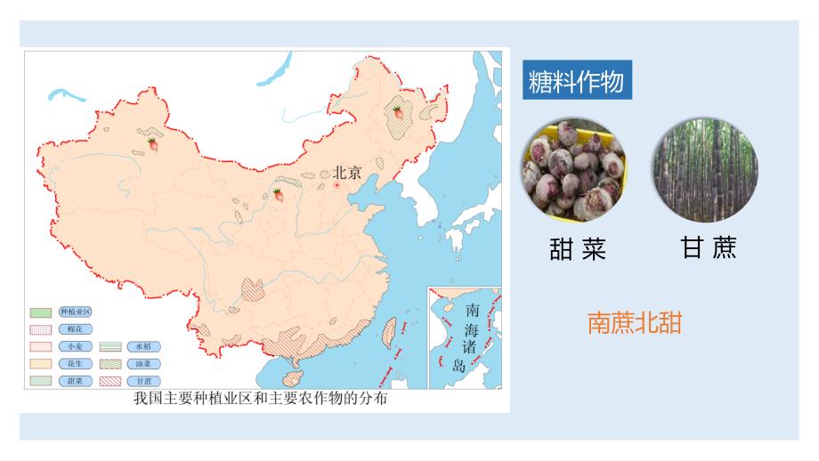 人教版八年级地理上册4.2《农业——因地制宜发展农业》课件_第4页