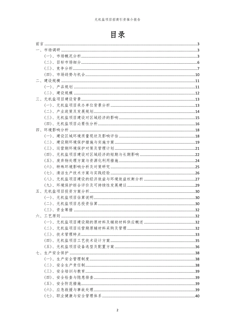 2023年无机盐项目招商引资推介报告_第2页