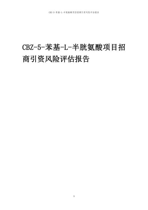 2023年CBZ-5-苯基-L-半胱氨酸项目招商引资风险评估报告