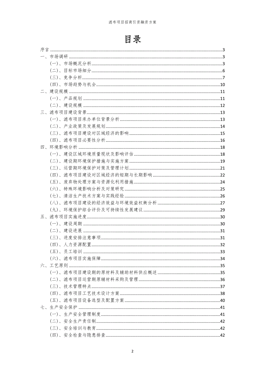2023年滤布项目招商引资融资方案_第2页