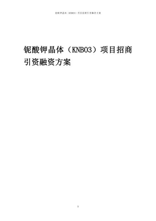 2023年铌酸钾晶体（KNBO3）项目招商引资融资方案