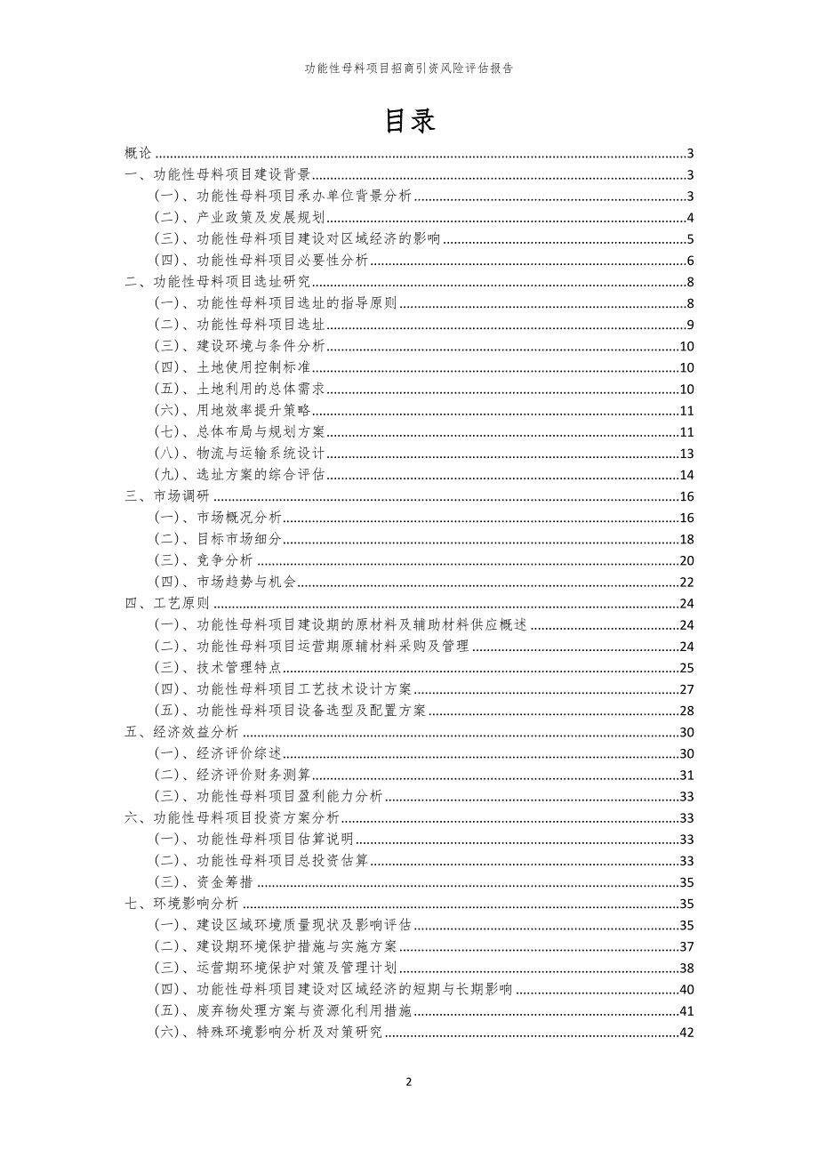 2023年功能性母料项目招商引资风险评估报告_第2页