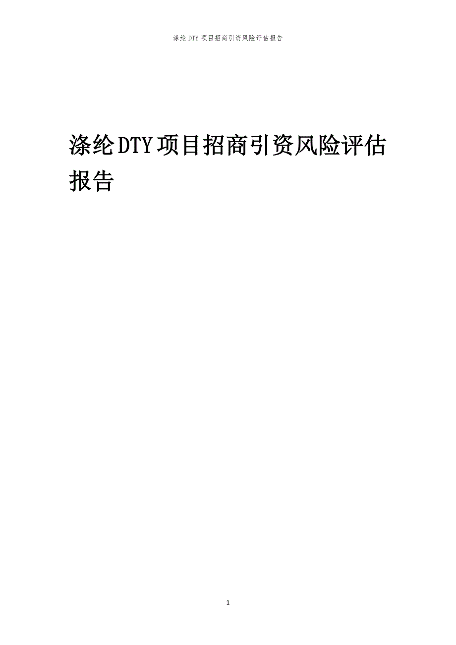 2023年涤纶DTY项目招商引资风险评估报告_第1页