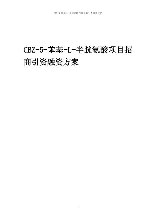 2023年CBZ-5-苯基-L-半胱氨酸项目招商引资融资方案