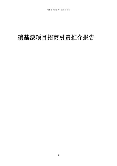 2023年硝基漆项目招商引资推介报告