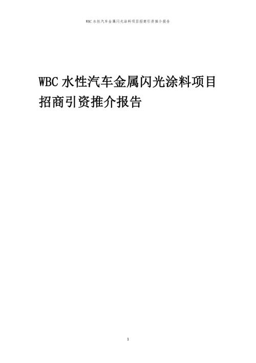 2023年WBC水性汽车金属闪光涂料项目招商引资推介报告