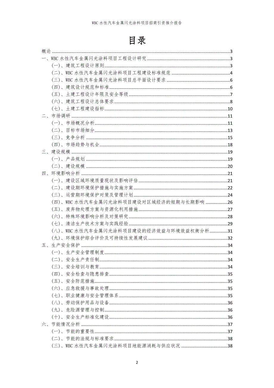 2023年WBC水性汽车金属闪光涂料项目招商引资推介报告_第2页