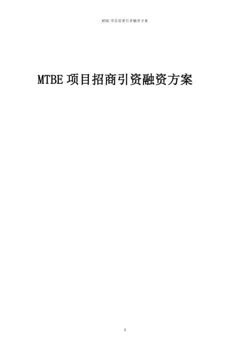 2023年MTBE项目招商引资融资方案