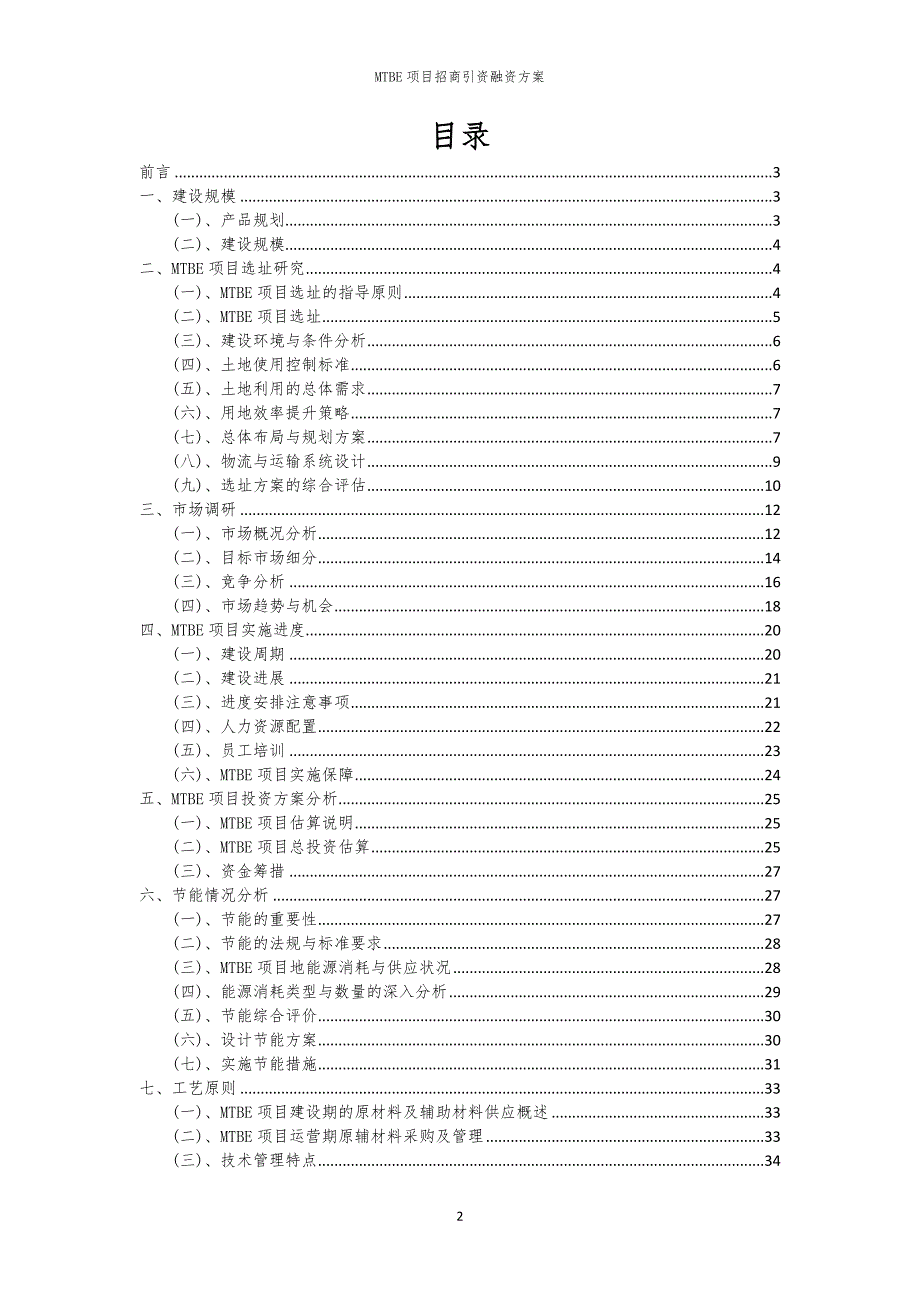 2023年MTBE项目招商引资融资方案_第2页