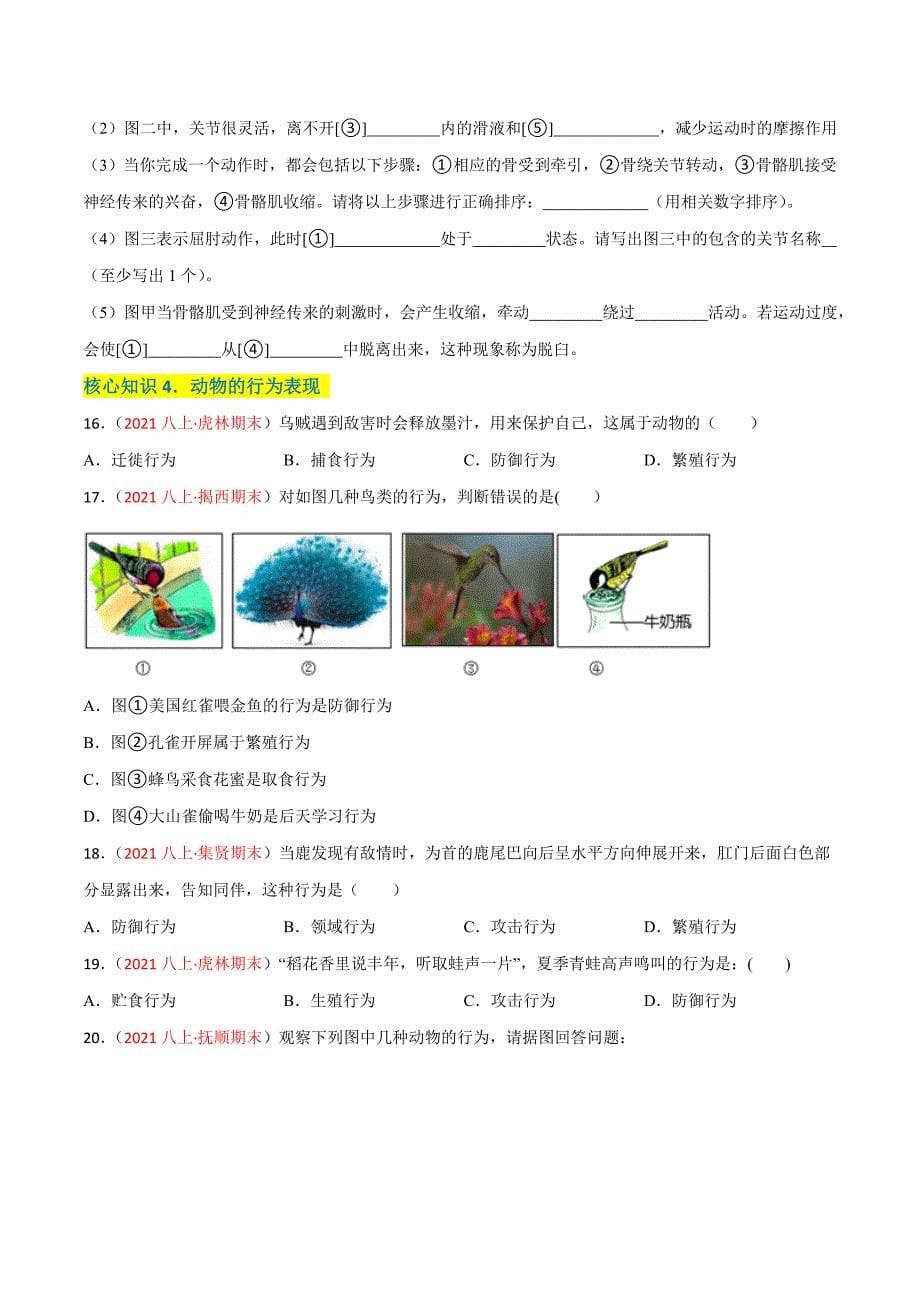 【人教】单元测试分层训练第二、三章 动物的运动和行为及动物在生物圈中的作用（A卷知识通关练）（原卷版）_第5页