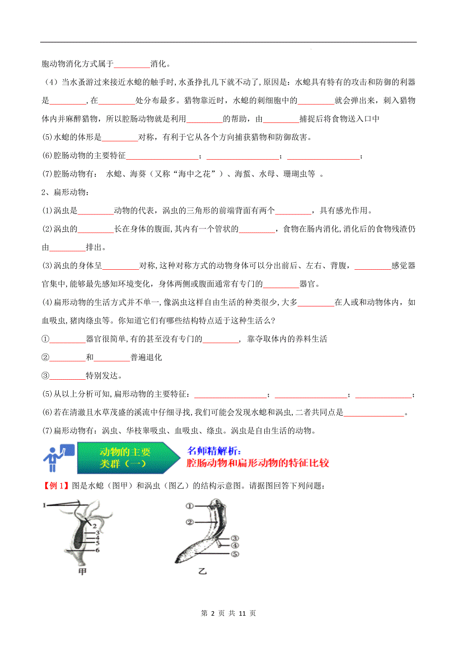 【人教】考点01 动物的主要类群（一、无脊椎动物）（原卷版）_第2页