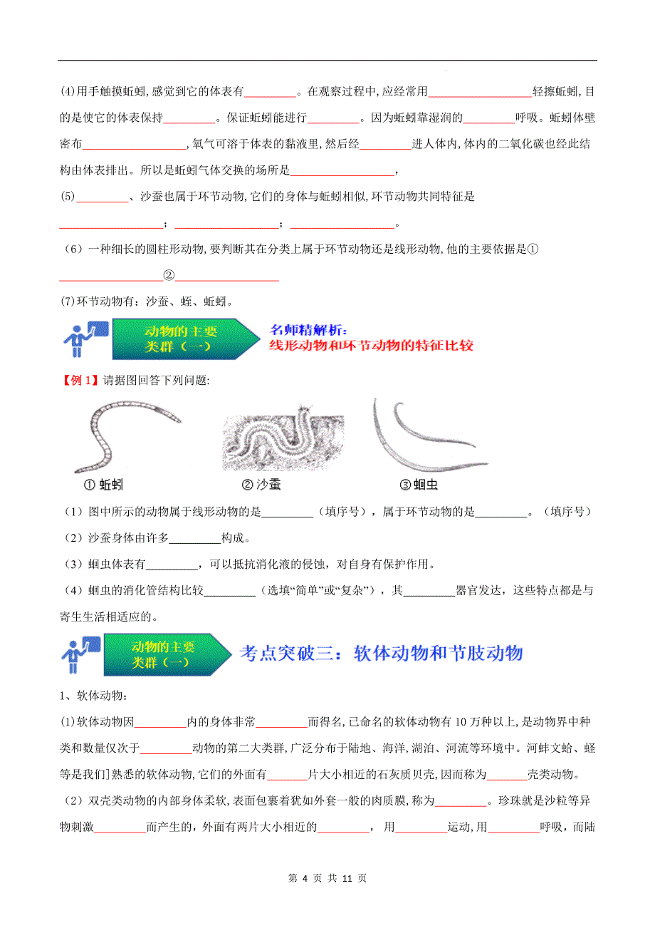 【人教】考点01 动物的主要类群（一、无脊椎动物）（原卷版）_第4页