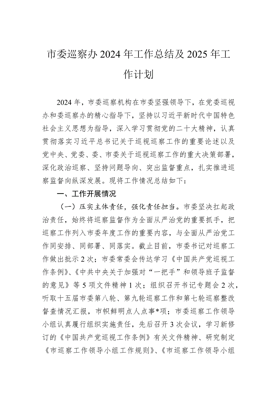 市委巡察办2024年工作总结及2025年工作计划_第1页