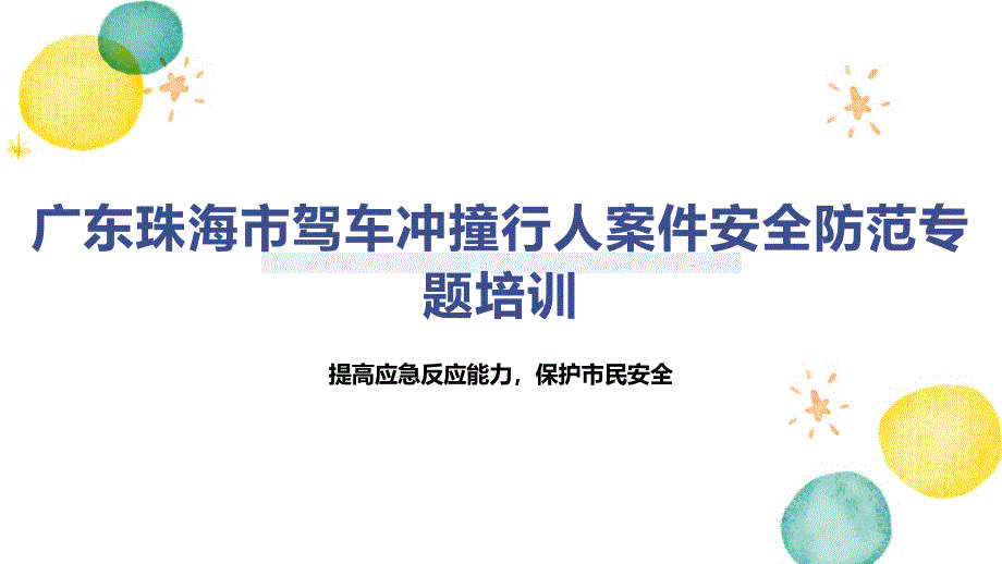 广东珠海市驾车冲撞行人案件安全防范专题培训_第1页